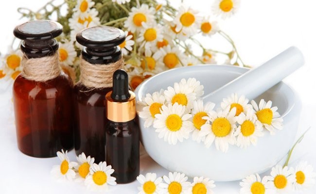 tinh-dầu-cúc-la-mã