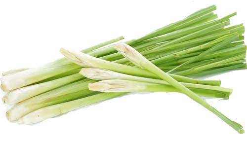 tác-dụng-ít-ai-biết-tới-của-tinh-dầu-sả