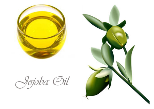 tinh-dầu-jojoba