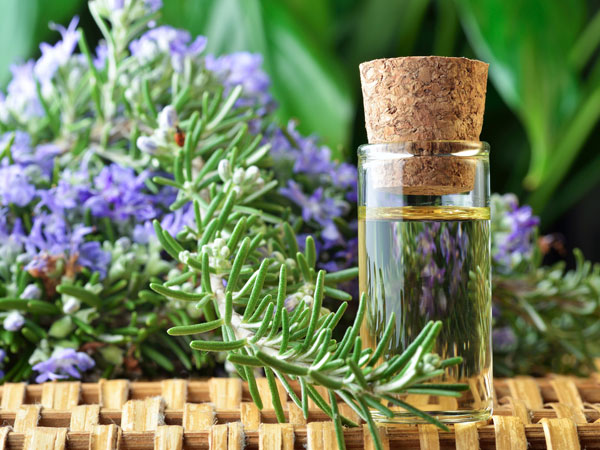 trị-mụn-bằng-tinh-dầu-rosemary