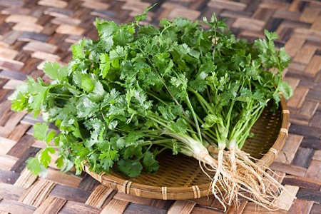 lá-rau-mùi-trị-mụn-đầu-đen